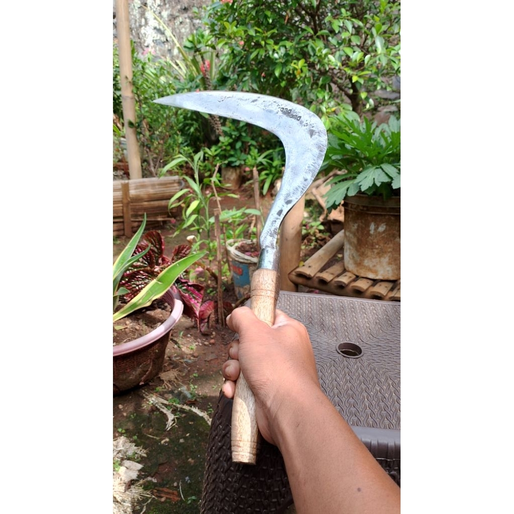 Arit/Sabit Original Sipuhan Baja Alat Pertanian Berkebun Cap Duo Jawaan Gagang Kayu Sonokeling
