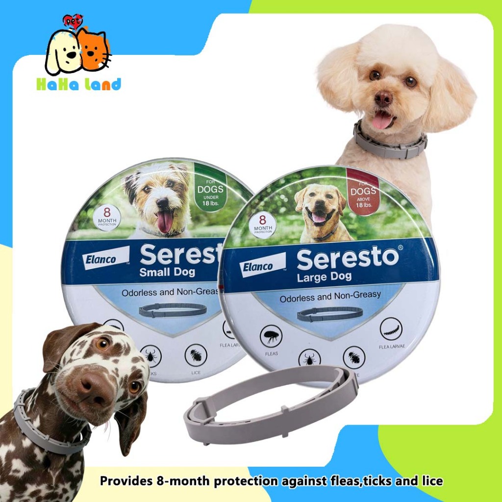Kalung Anti Kutu Anjing Seresto | Ampuh Anti Kutu Kayu