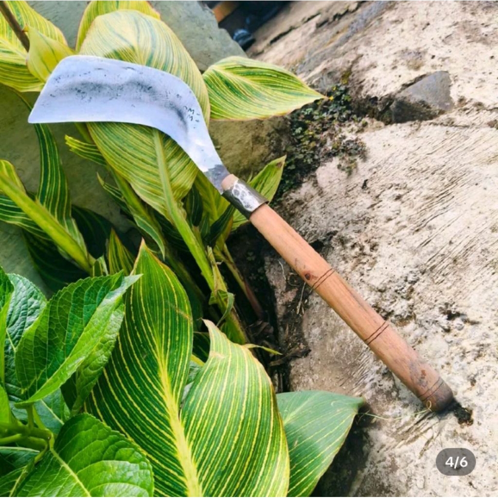 Alat Pertanian & Kebun Terbaik – Parang Tajam Siap Kerja Berat