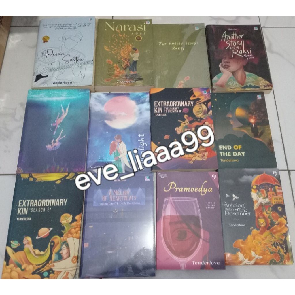 Preloved Novel Tenderlova Narasi 2021 + Booklet (Wajib CO Packing)