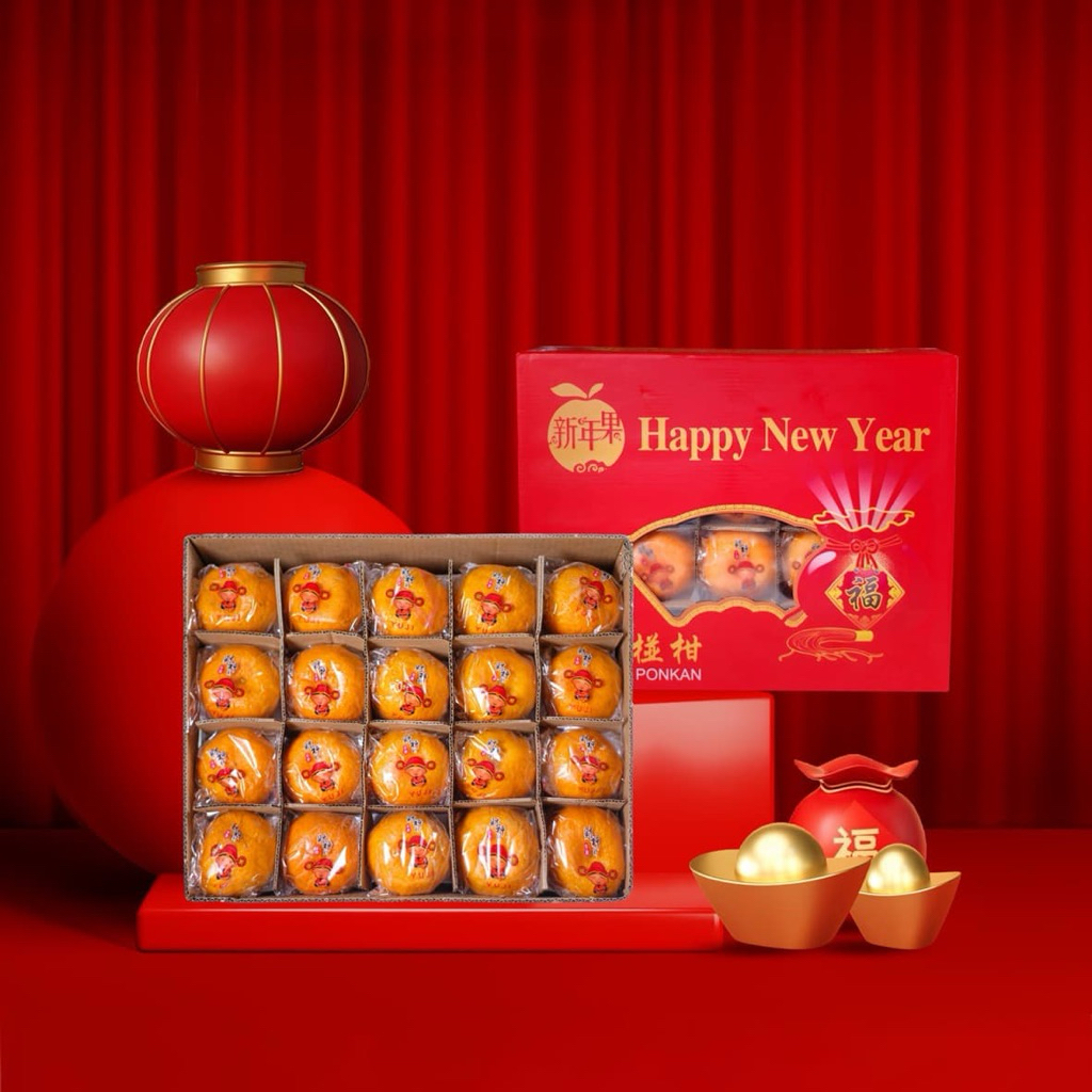 hampers cny jeruk ponkam isi 40