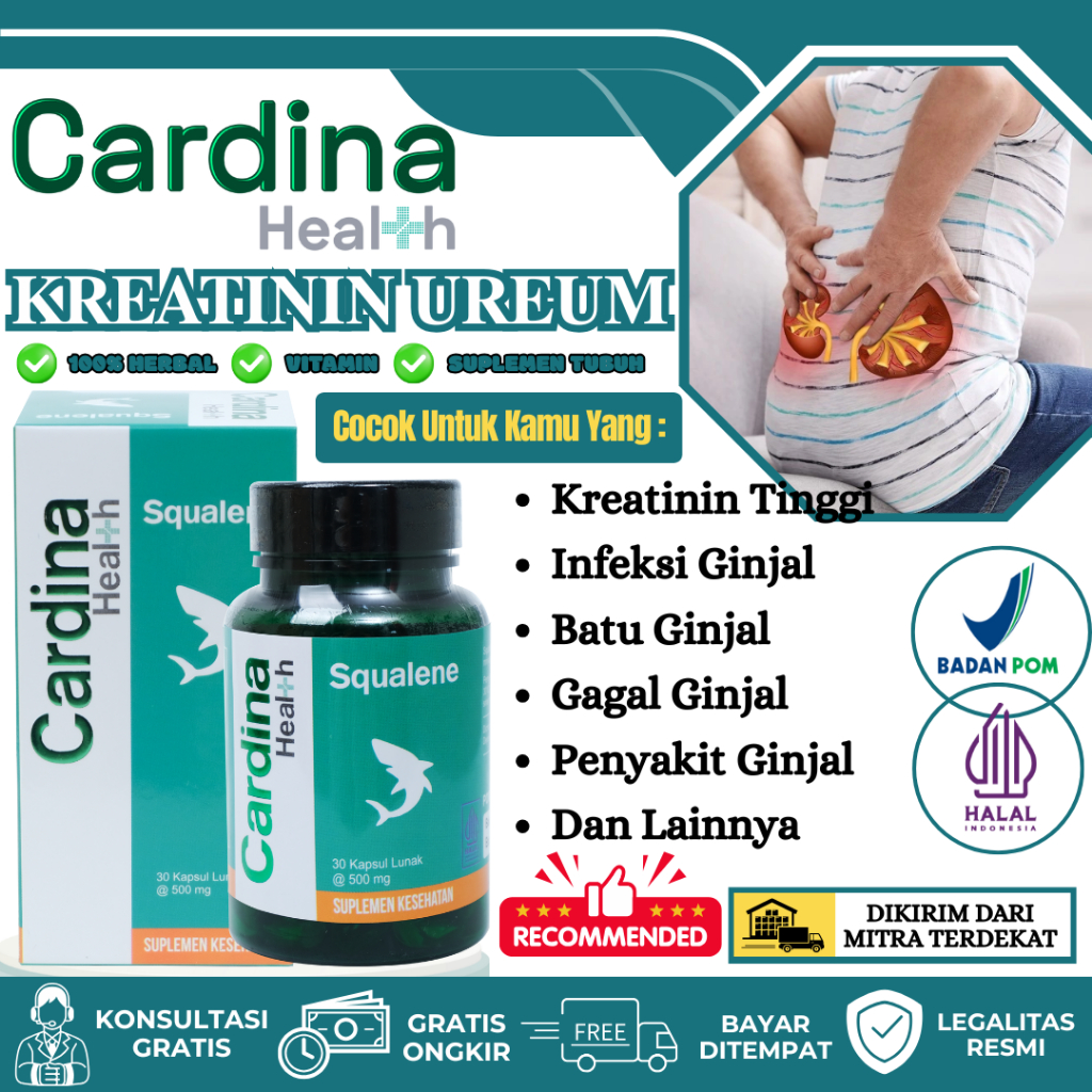 Obat Ginjal Kreatinin Tinggi Penurun Kreatinin Ureum Infeksi Ginjal Gagal Ginjal Ureum Meningkat Gan