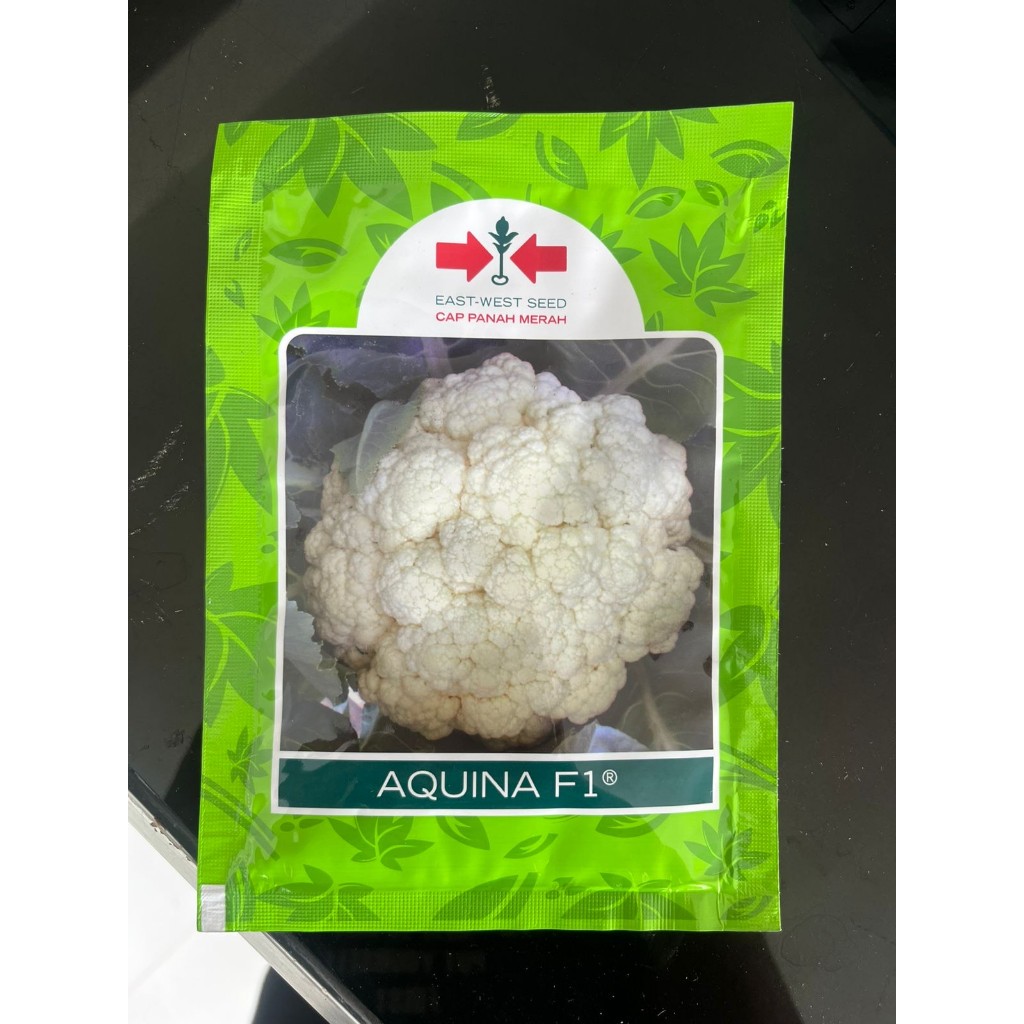 Benih Aquina F1 10 gr Bunga Kol Panah Merah