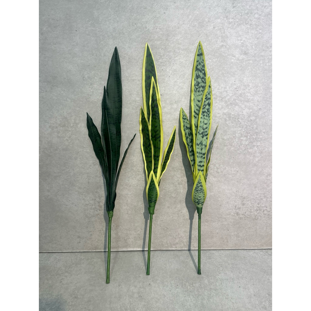 SENSIVERA ARTIFICIAL / LIDAH MERTUA ARTIFICIAL