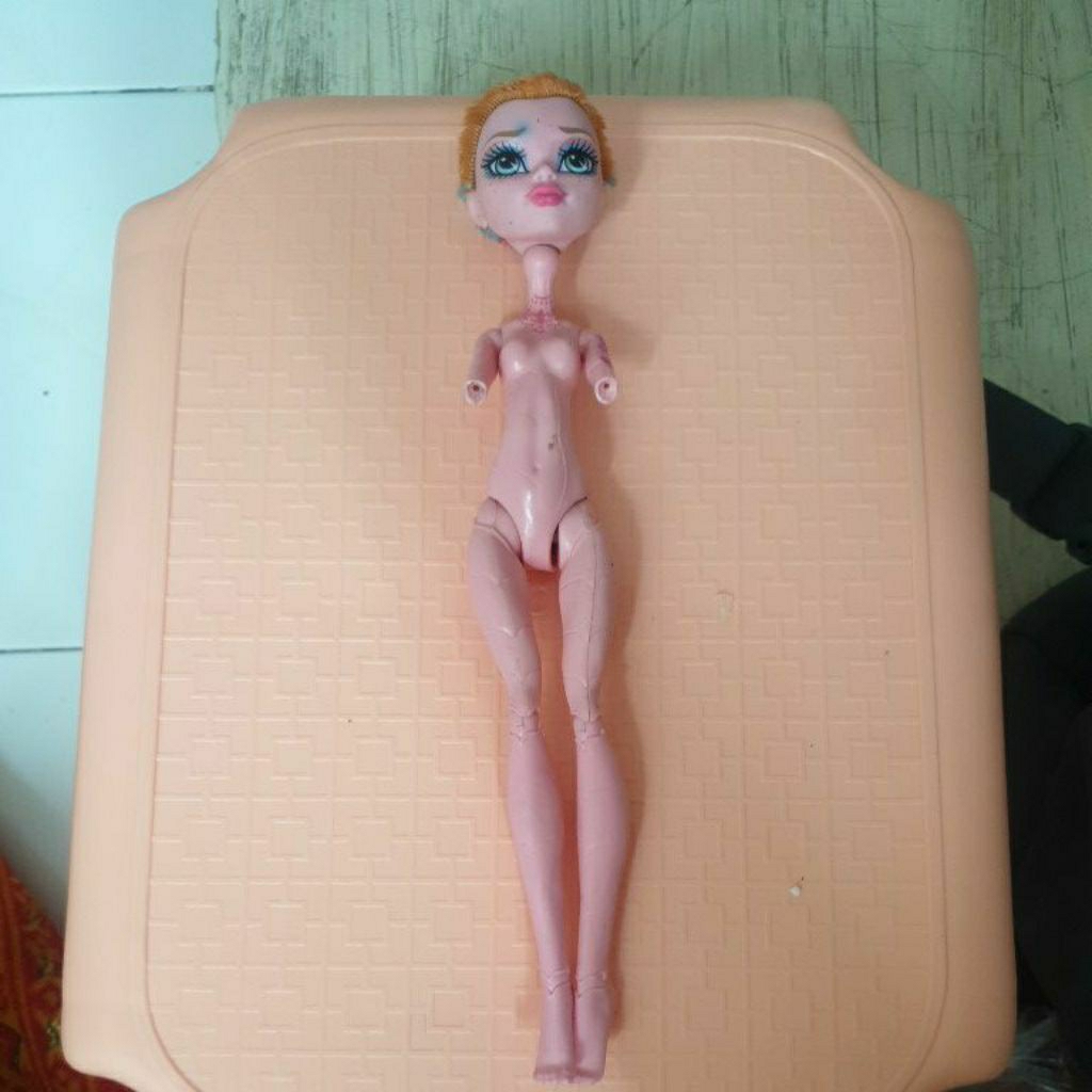 Junk Barbie Monsterhigt