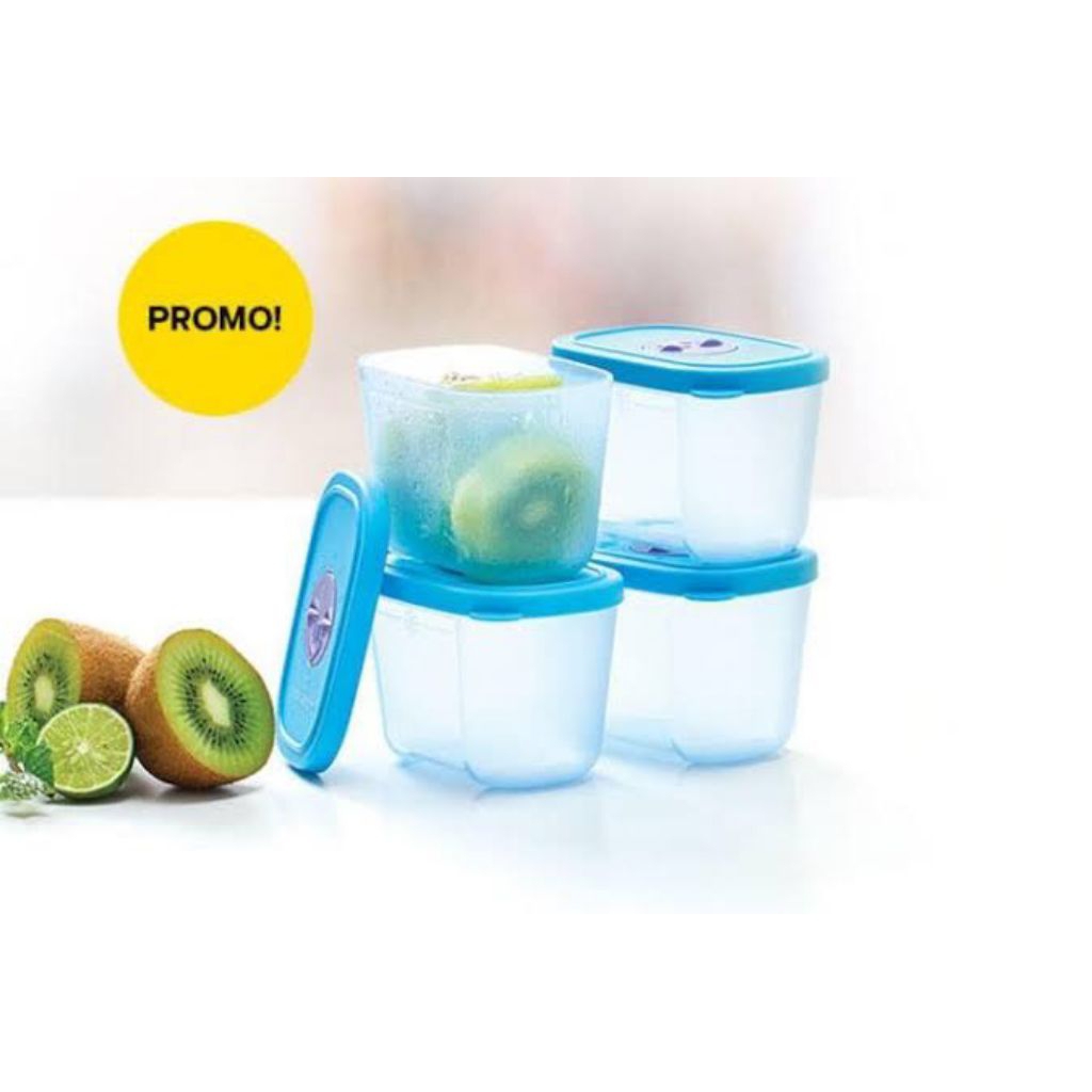 Mini Freezer Mate with dial (1) Tupperware