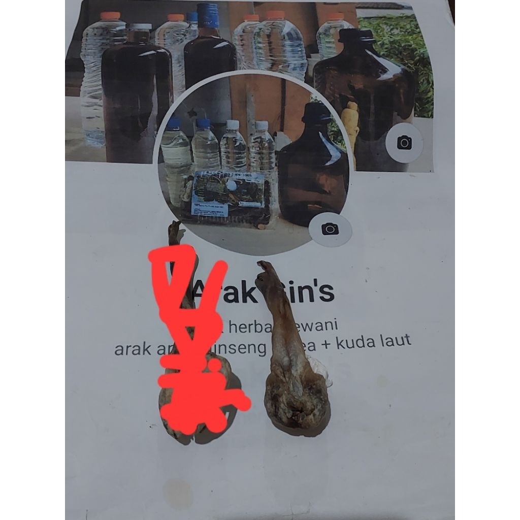 tangkur kering tang buaya asli