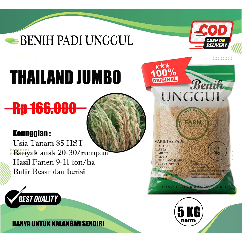 bibit benih Padi Thailand Jumbo 5kg