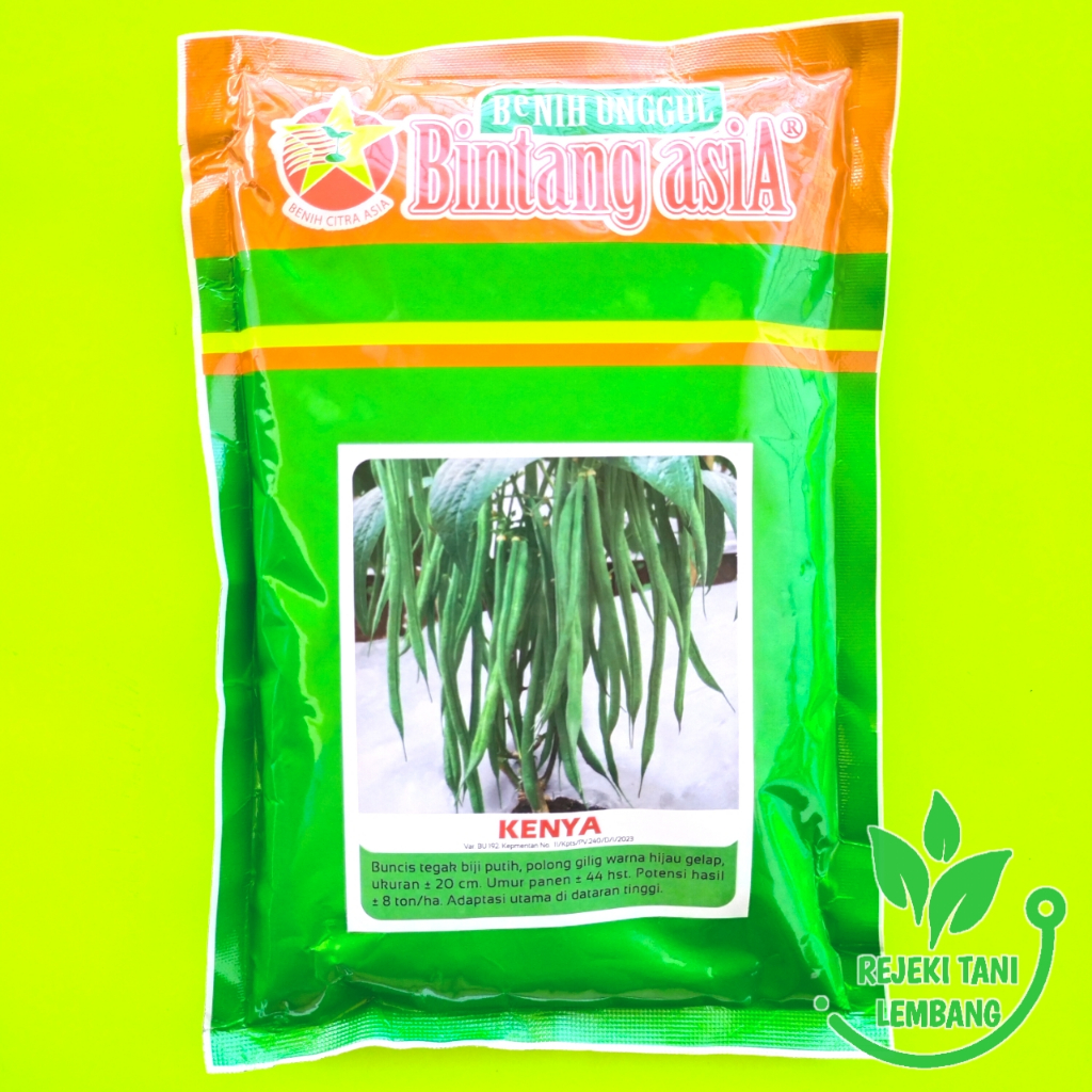 BENIH BUNCIS KENYA ISI 500 GR BUNCIS BIJI PUTIH