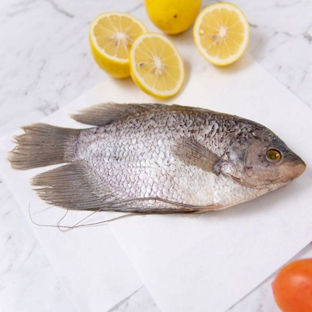 Ikan Gurame Fresh Frozen 1Kg isi 2-3 ekor