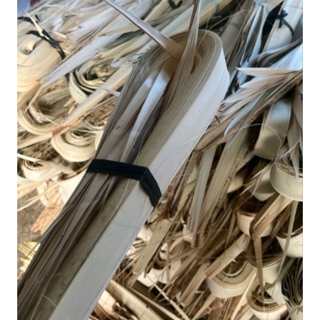 DAUN SIWALAN/ LONTAR UTUH yang masih muda/pupus lontar/