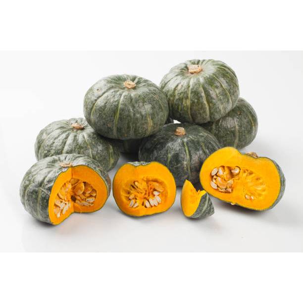 TUMBUH CEPAT BENIH LABU KABOCHA