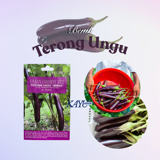 Benih Terong/Benih Terong Ungu “Mirka”/Benih Murah