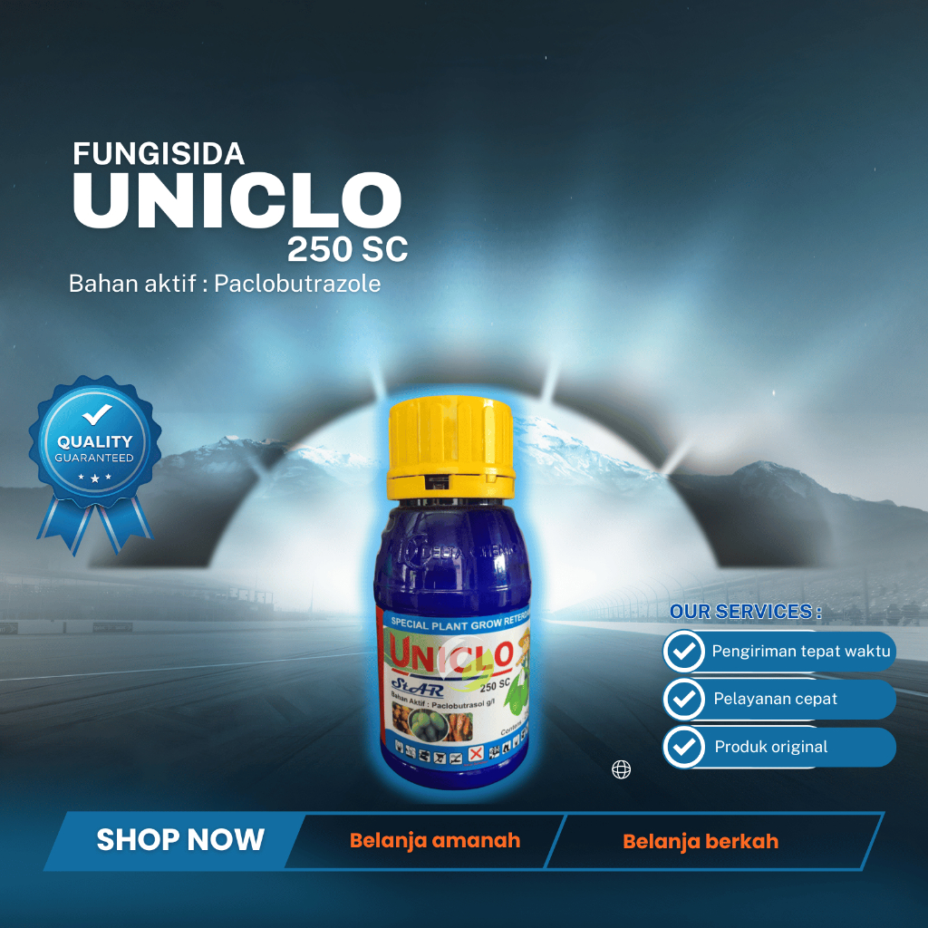 Fungisida UNICLO untuk zat pengatur tumbuh pada tanaman mangga/apel/nanas
