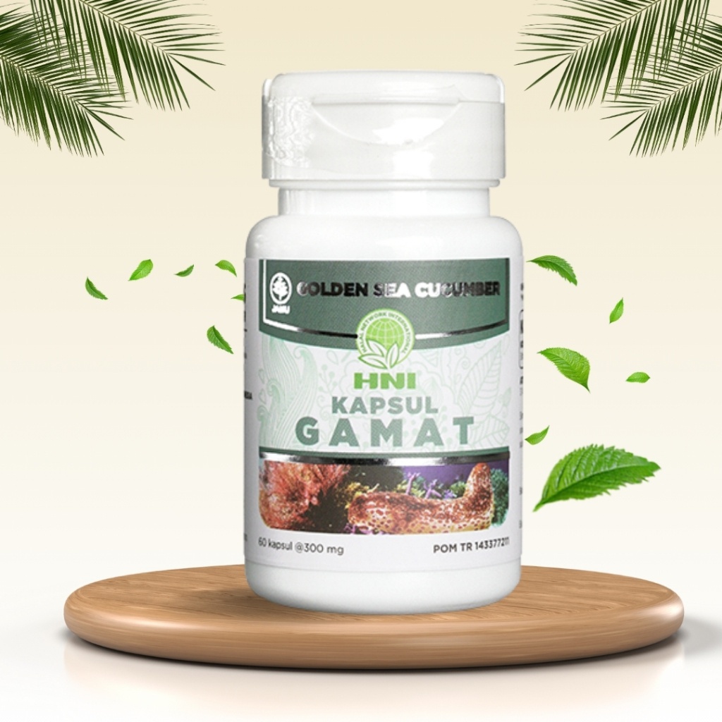 GAMAT HNI HPAI / TERIPANG MAS / SUPLEMEN KESEHATAN