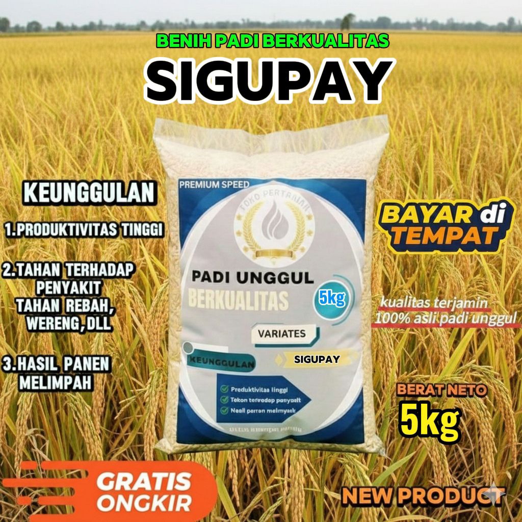 benih padi unggu SIGUPAY berkualitas kemasan 5kg