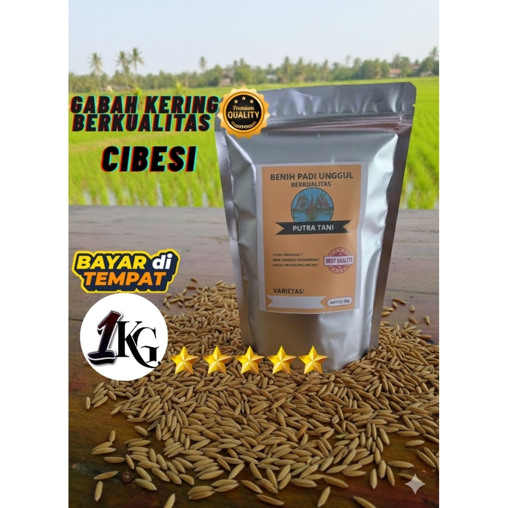 Benih padi bibit padi unggul berkualitas CIBESI kemasan 1kg