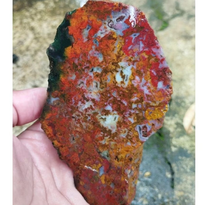 suiseki batu alam bahan batu akik lempengan panca warna kembang multi warna super natural istimewa p