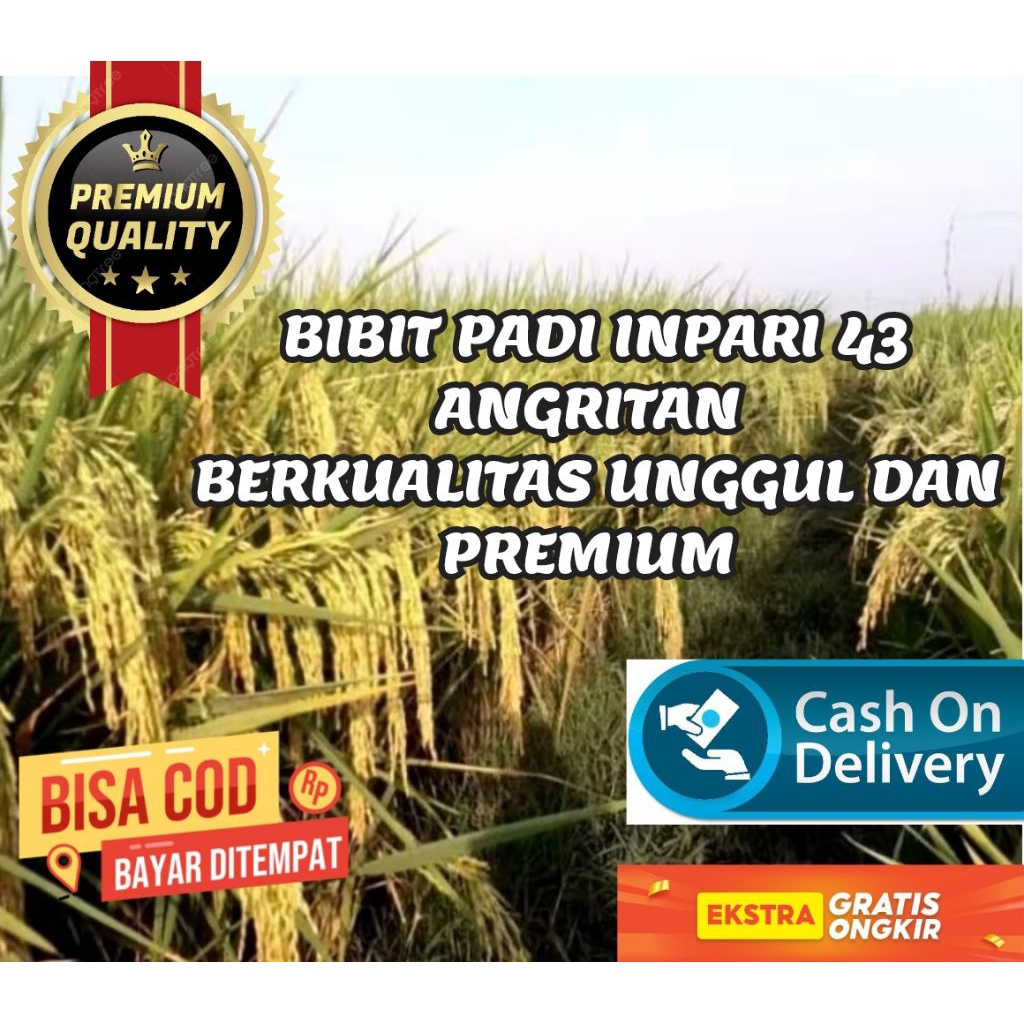 BENIH PADI INPARI 43 AGRITAN GSR BERKUALITAS UNGGUL KEMASAN 5KG