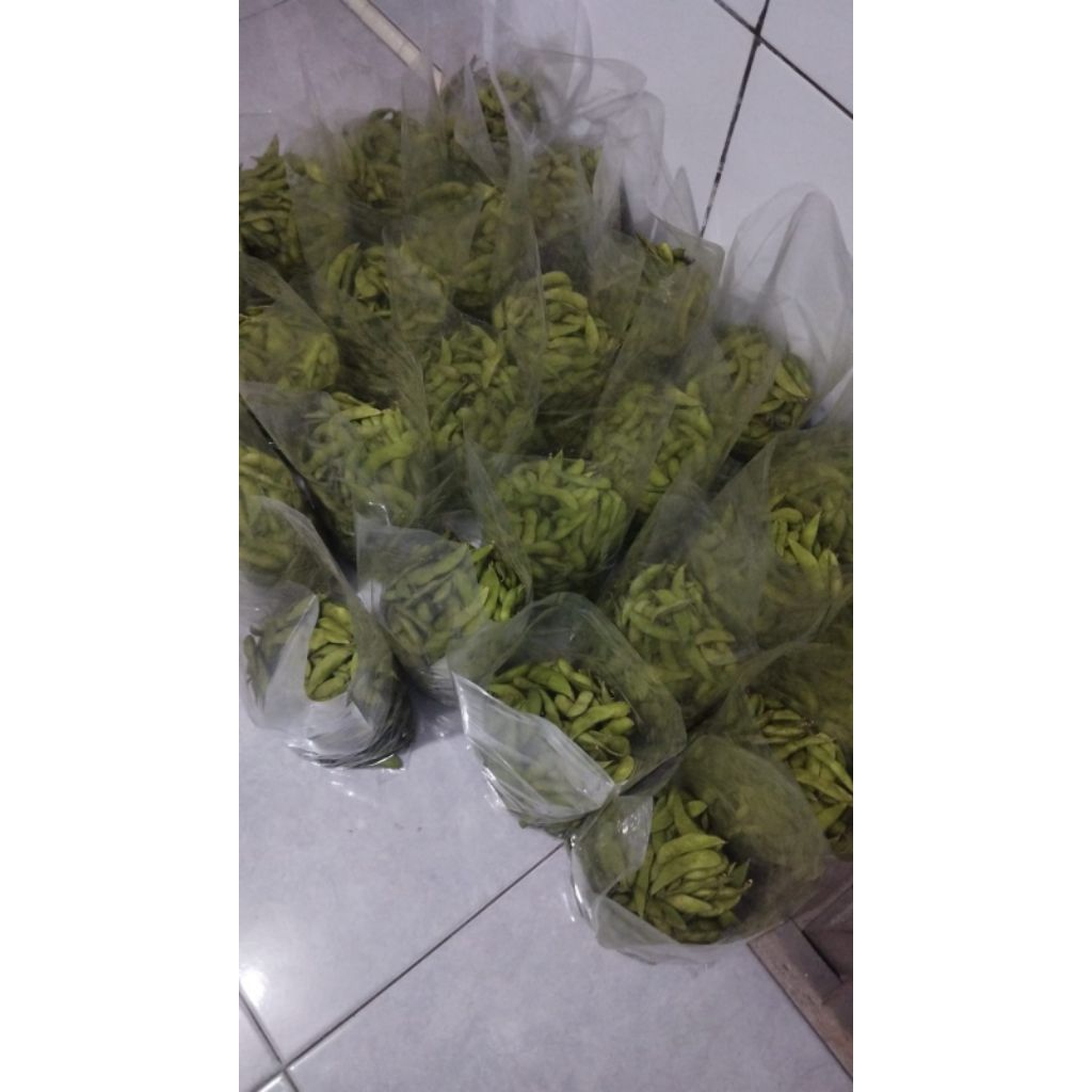 Edamame segar 1kg kedelai hijau fresh