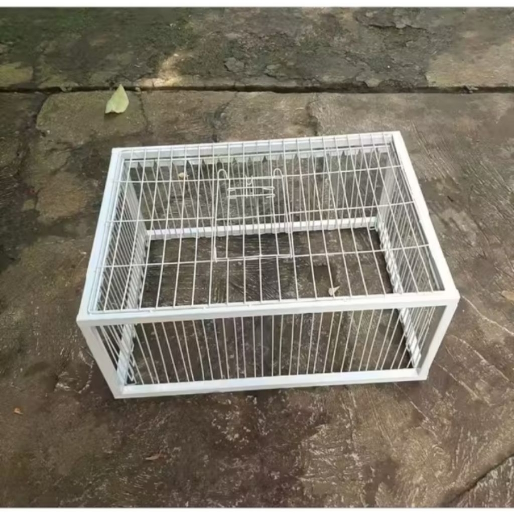 kandang ayam perangkap ayam dan burung merpati dan unggas lainnya