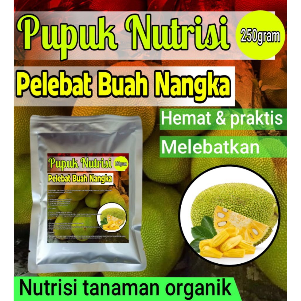 PUPUK BUAH NANGKA pelebat buah nangka
