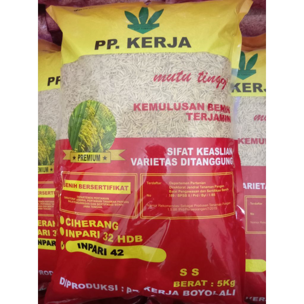 INPARI 42 PREMIUM BOYOLALI SS/5KG