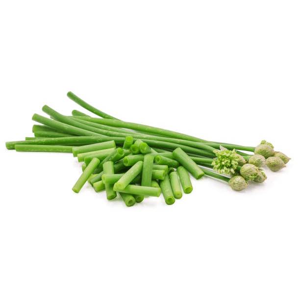 SIAP TANAM BENIH TANAMAN DAUN KUCAI