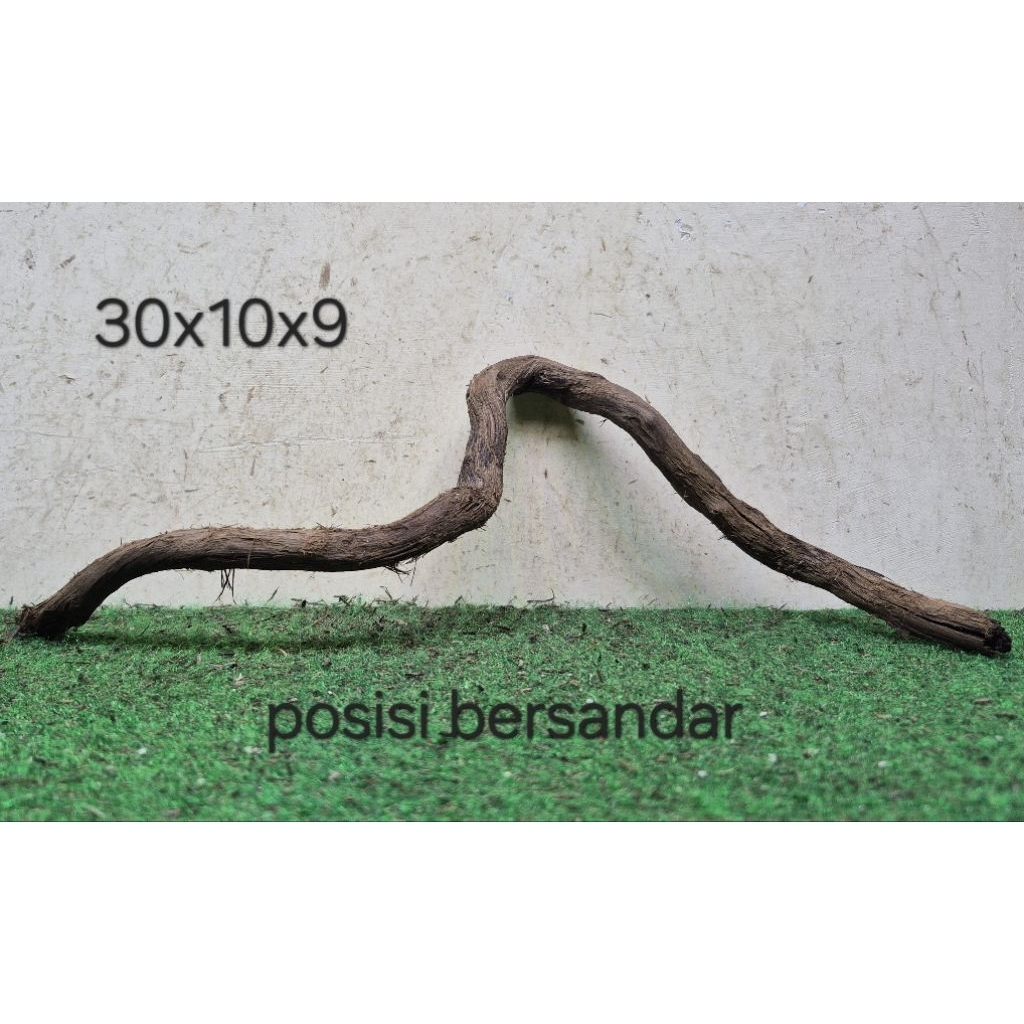 Kayu Santigi Laut Kecil 30cm Kayu Tenggelam Aquascape Aquarium Taman 30x10x9 T