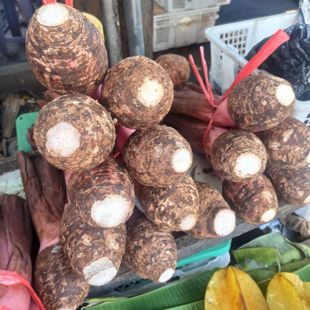 Ubi Talas Bogor Mentah 1kg - Segar, Kaya Nutrisi, Cocok untuk Berbagai Olahan