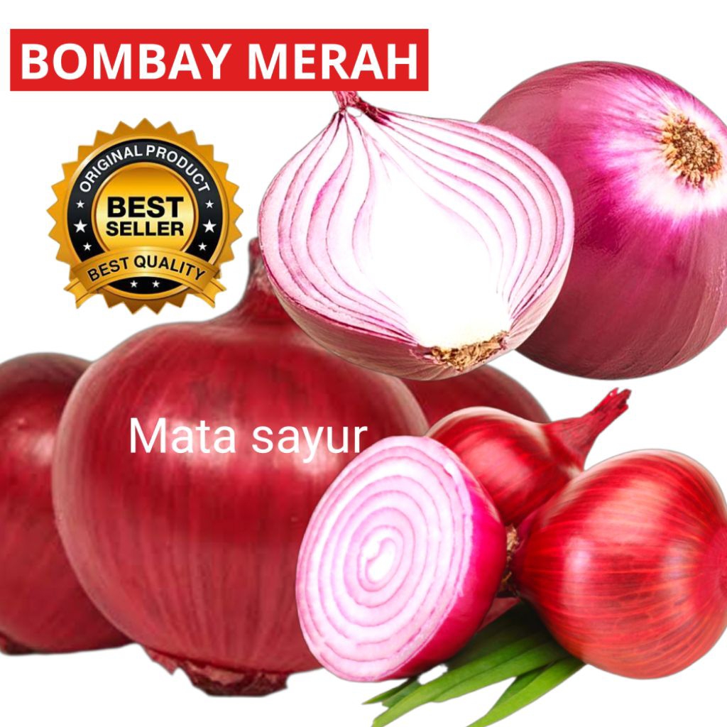BAWANG BOMBAY MERAH 1KG KWALITAS SUPER