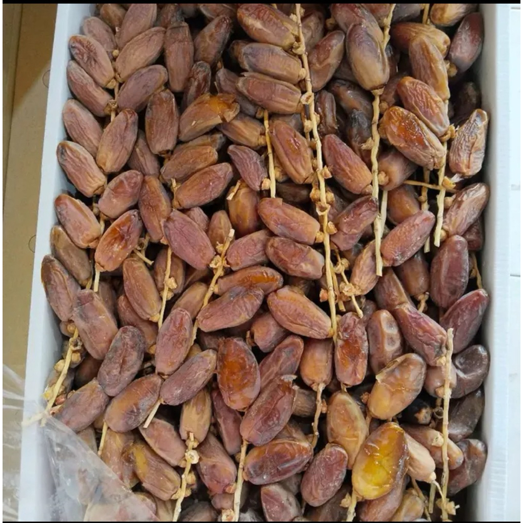 KURMA TANGKAI TUNISIA 5KG