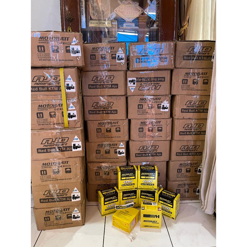 AKI MOTOBATT RX KING