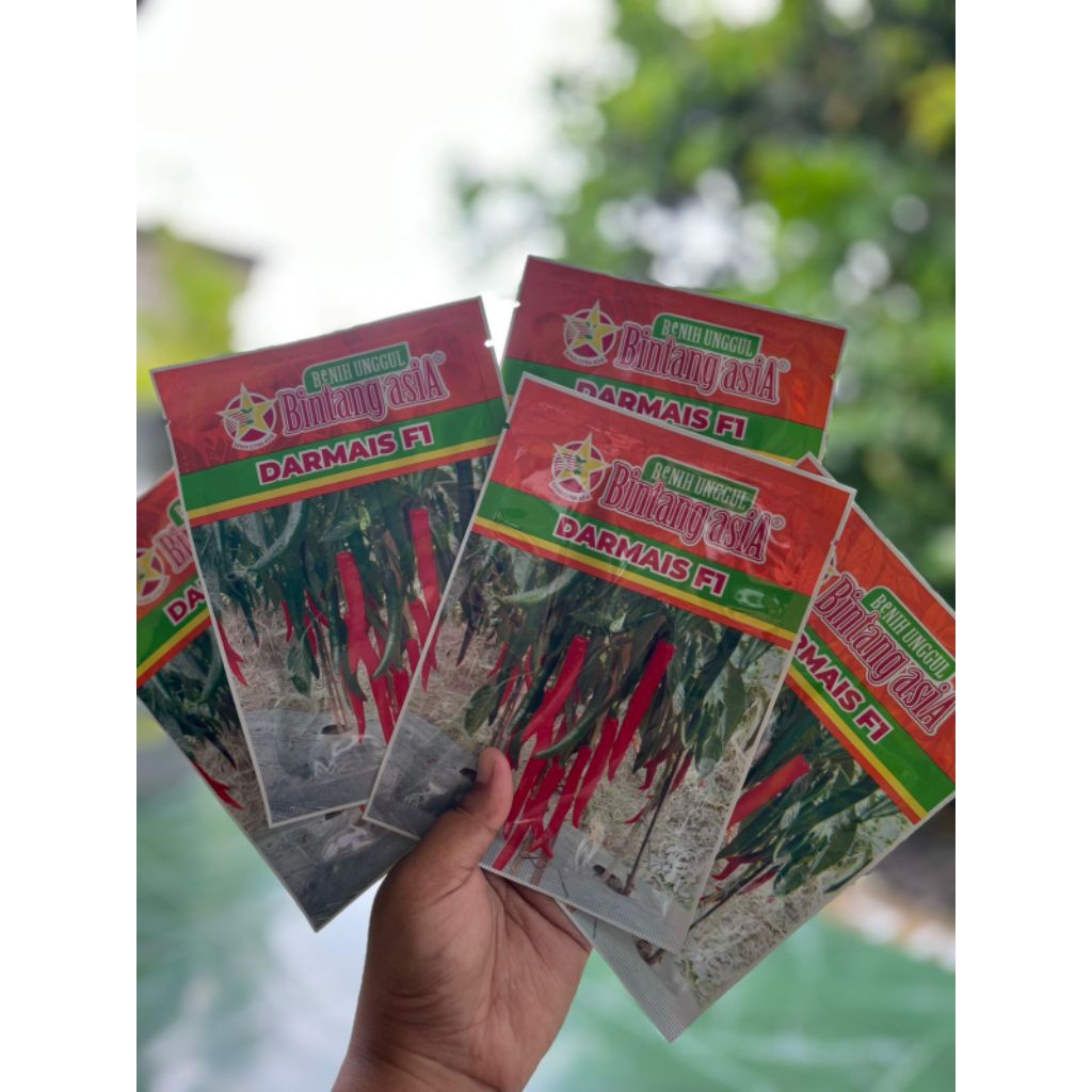 Benih Cabai Besar Darmais F1 Bintang Asia | Bibit cabe besar original 10 gram