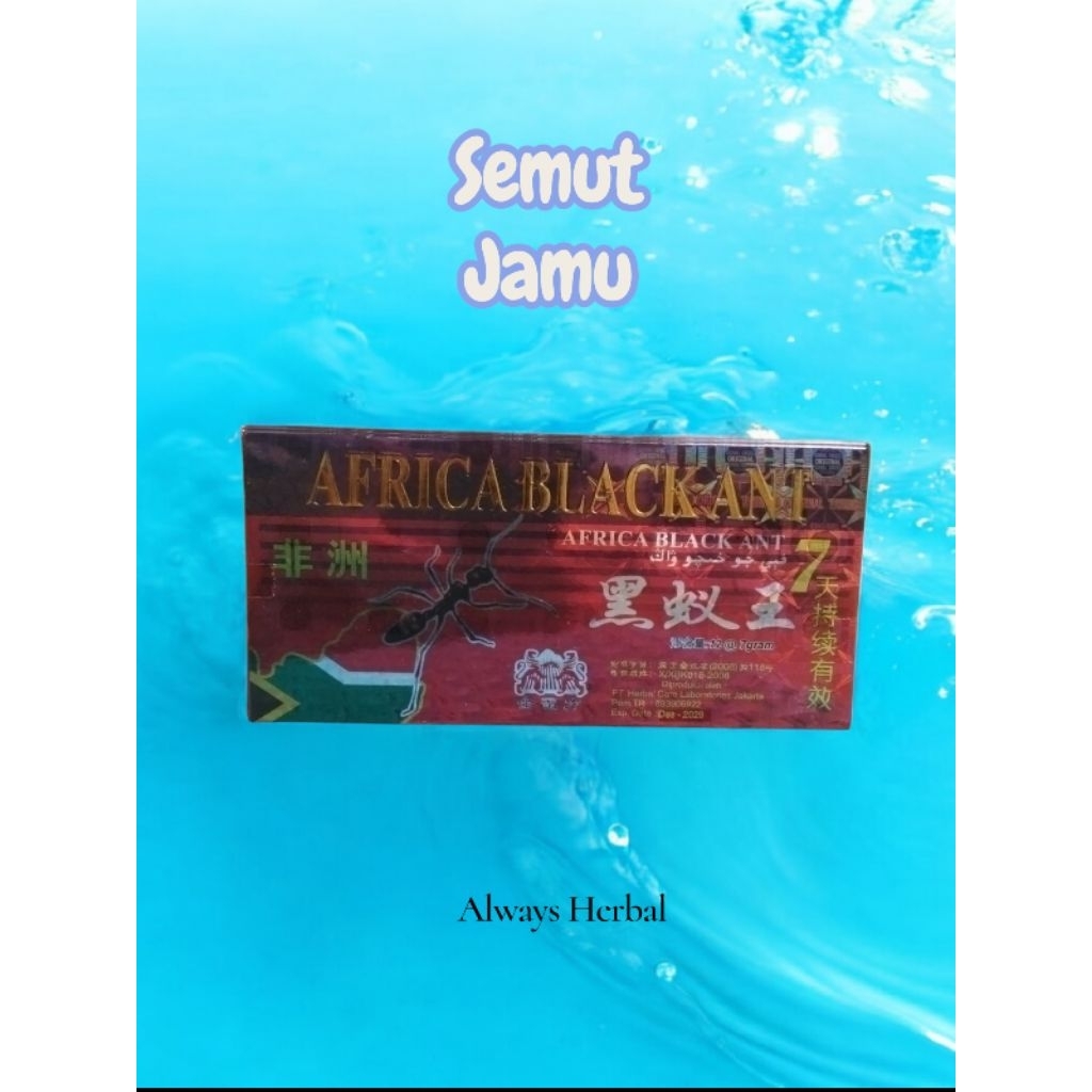 Boneka Imut Semutan Lucu