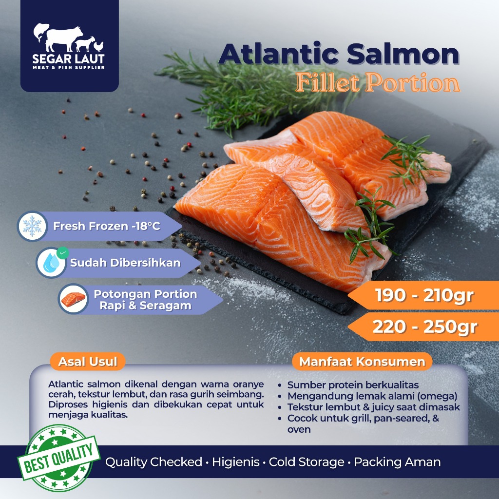 IKAN SALMON FILLET PORTION | FRESH FROZEN & SEGAR