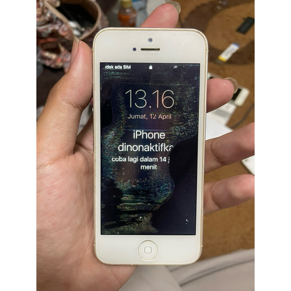 IPhone 5 Grey (Passcode)