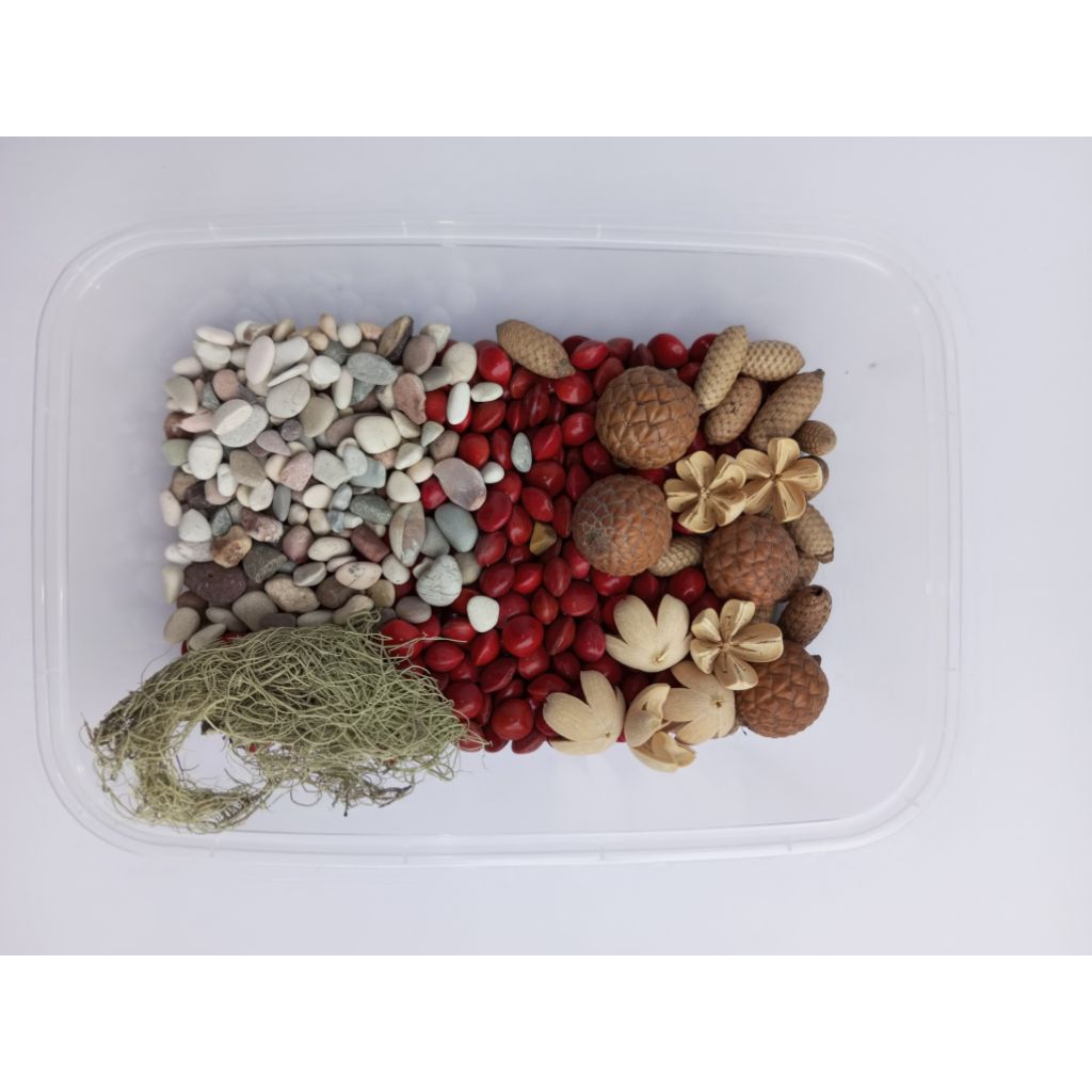 PAKET MIX BIJI BIJIAN KOLASE/BAHAN KOLASE/BIJI BIJIAN KOLASE/KERAJINAN TANGAN