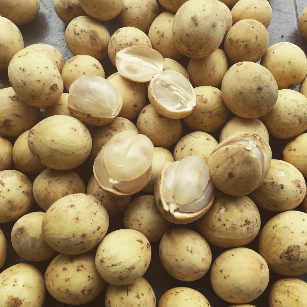 Dukuh Palembang Manis Berat 500gr