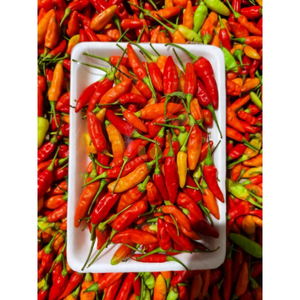 CABAI RAWIT LOKAL 250gr