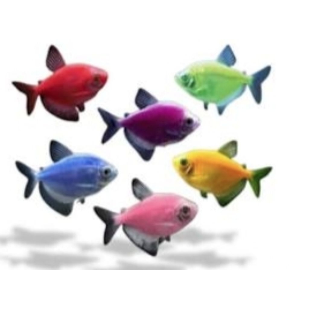 TETRA GLOWFISH WARNA WARNI ISI 10 EKOR