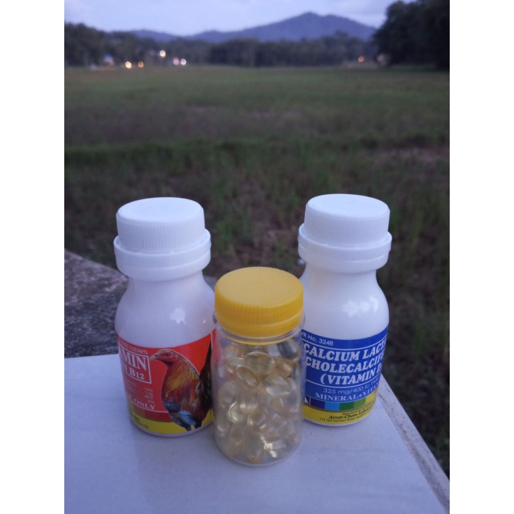 Paket MULTIVITAMIN & CALCIUM LACTATE Original import Filipina + Minyak Ikan isi 50 butir #obatayamfi