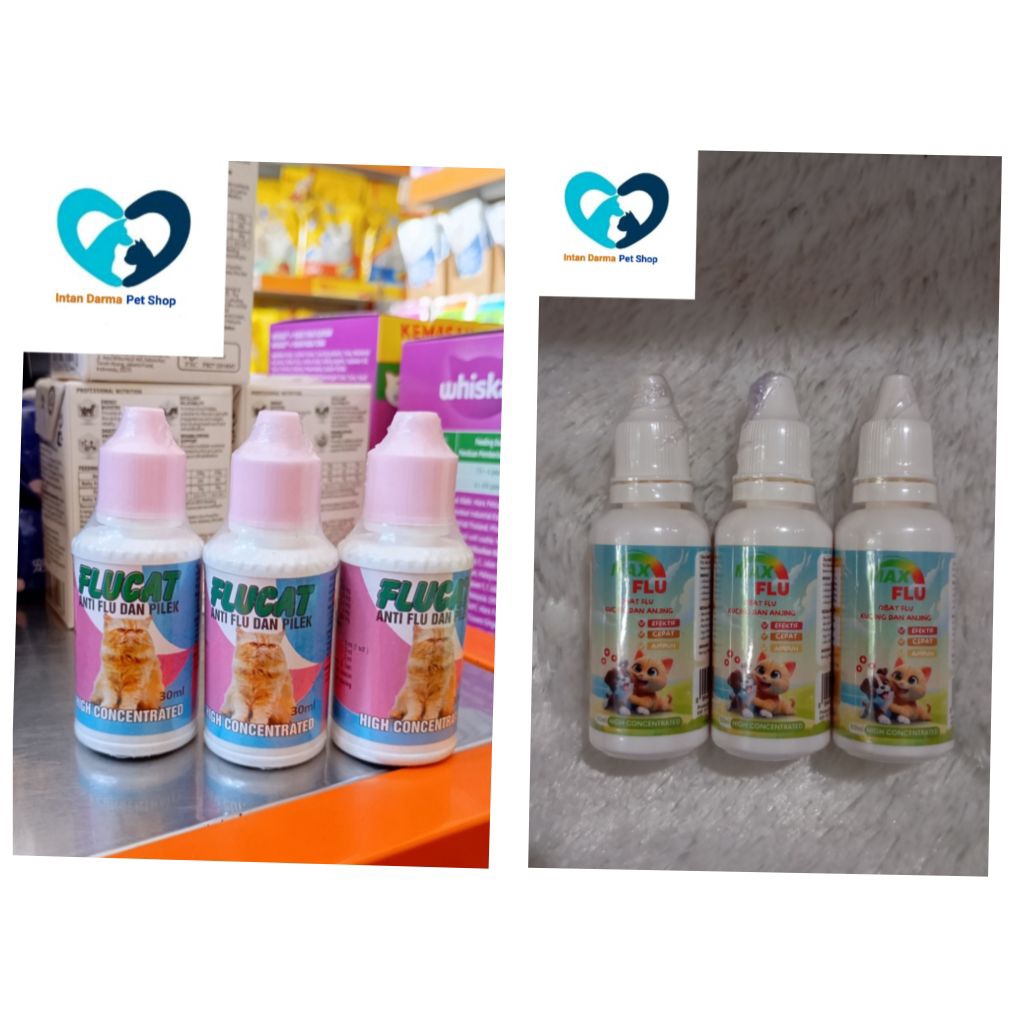 OBAT FLU KUCING ANJING MAX FLU DAN FLUCAT 30 ML/ OBAT PILEK/ FLU KUCING/ FLU ANJING
