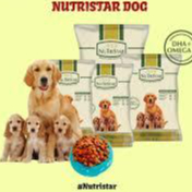 NUTRISTAR DOG FOOD 20KG