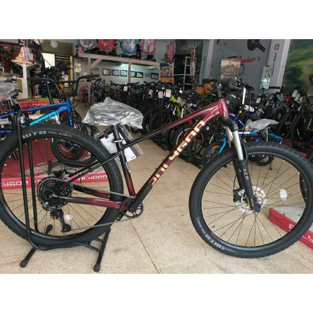Sepeda Gunung Sepeda MTB 29 Inch POLYGON XTRADA 5 FA NEW