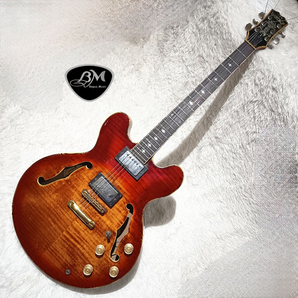 Gitar Samick Artist series Hollowbody