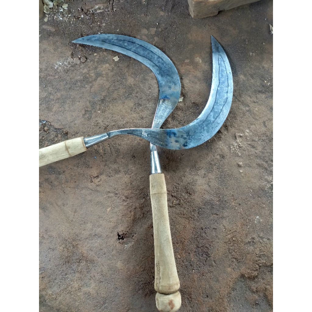 sabit rumput baja isen