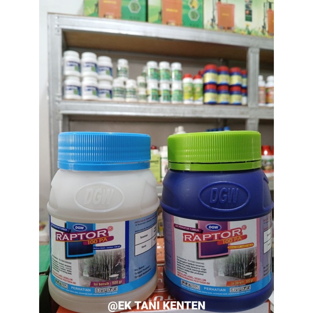 ZPT RAPTOR 100PA MERAH DAN PUTIH 500GR