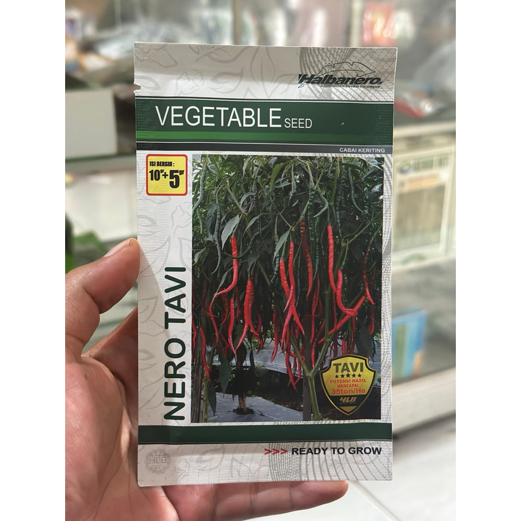 benih cabe keriting Nero Tavi 10 gram halbanero