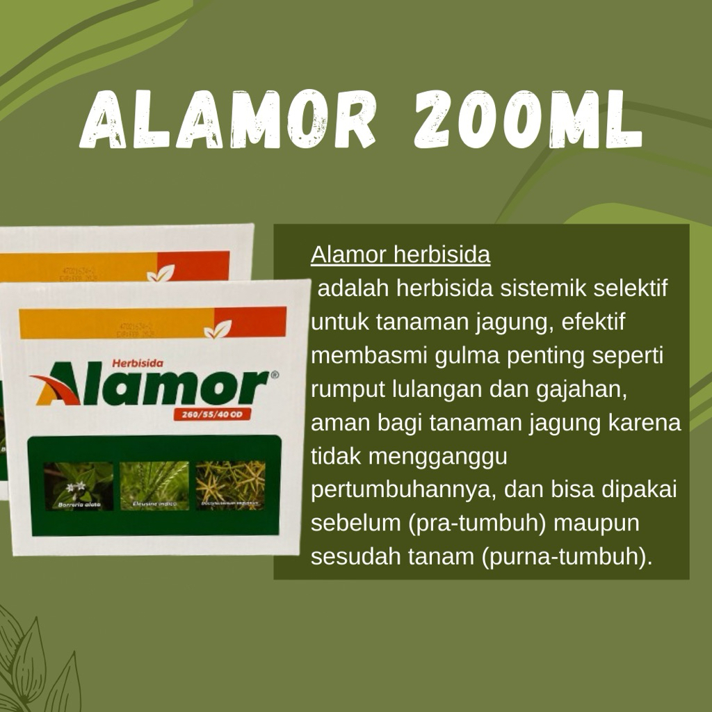 HERBISIDA JAGUNG ALAMOR 200ML